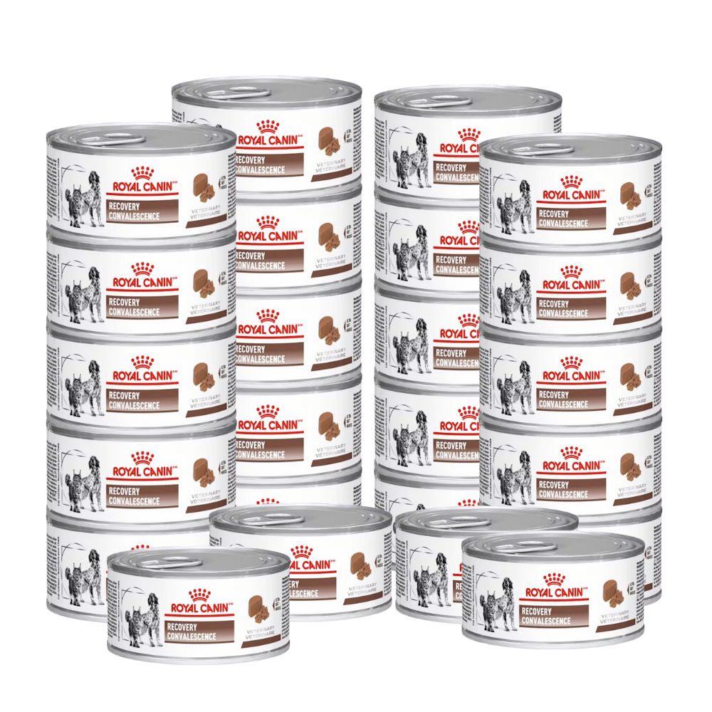 ROYAL CANIN RECOVERY LATA 24 PZ