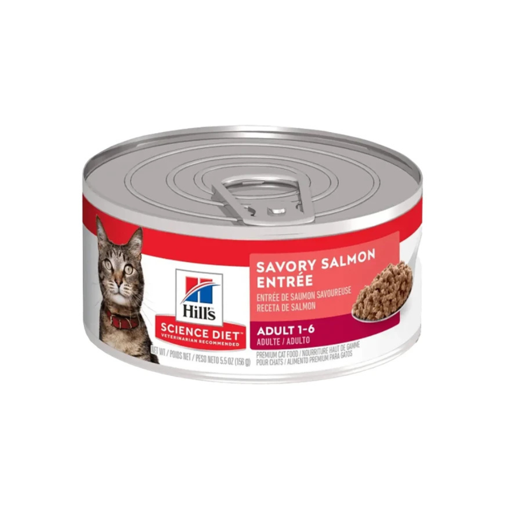 Hills Feline Original 1-6 Lata Salmon 156 G
