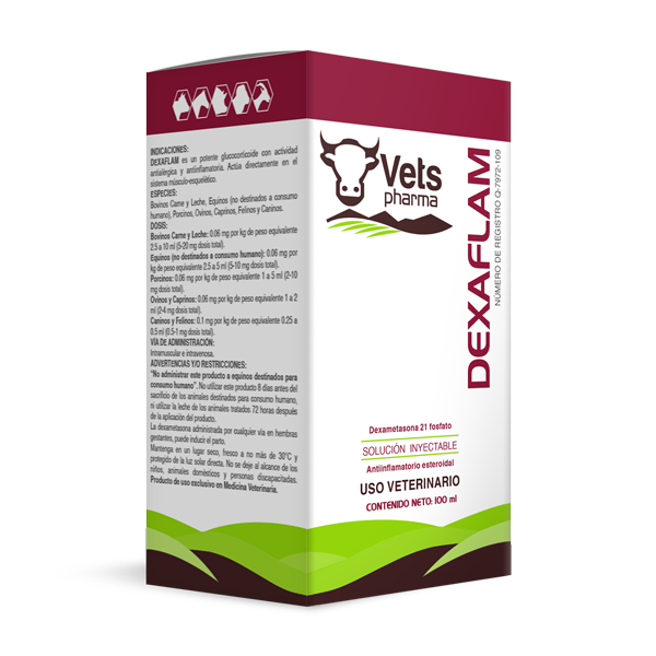VETS PHARMA DEXAFLAM 100 ML