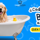 ¿Cada cuándo debo bañar a mi mascota?