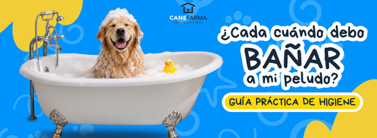 ¿Cada cuándo debo bañar a mi mascota?
