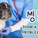 ¿Mi perro o gato podría presentar un problema cardiaco?