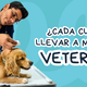 ¿Cada cuánto debo llevar a mi mascota al veterinario? Guía por etapa de vida