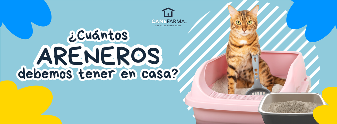 ¿Cuántos areneros debemos tener en casa? Guía para tu gato