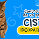 Cistitis idiopática felina: cómo reconocerla y ayudar a tu gato a prevenirla