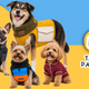 Urban Dog: ropa para perros que combina comodidad, protección y estilo