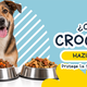 ¿Cómo cambiar el alimento de tu mascota sin causarle diarrea?