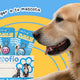 Chip Woofio: identificación inteligente para proteger a tu mascota