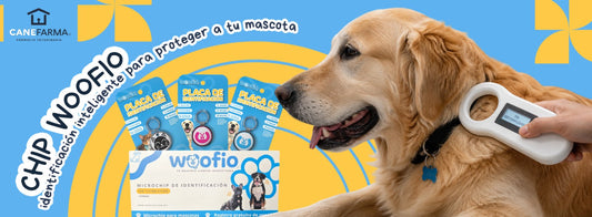 Chip Woofio: identificación inteligente para proteger a tu mascota