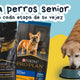 Pro Plan para perros senior: nutrición pensada para cada etapa de su vejez