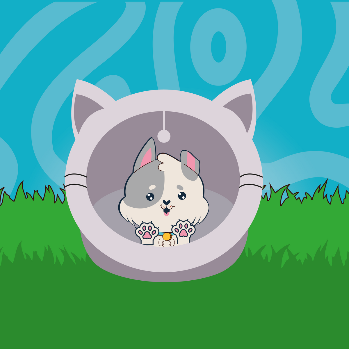 Accesorios para Gato