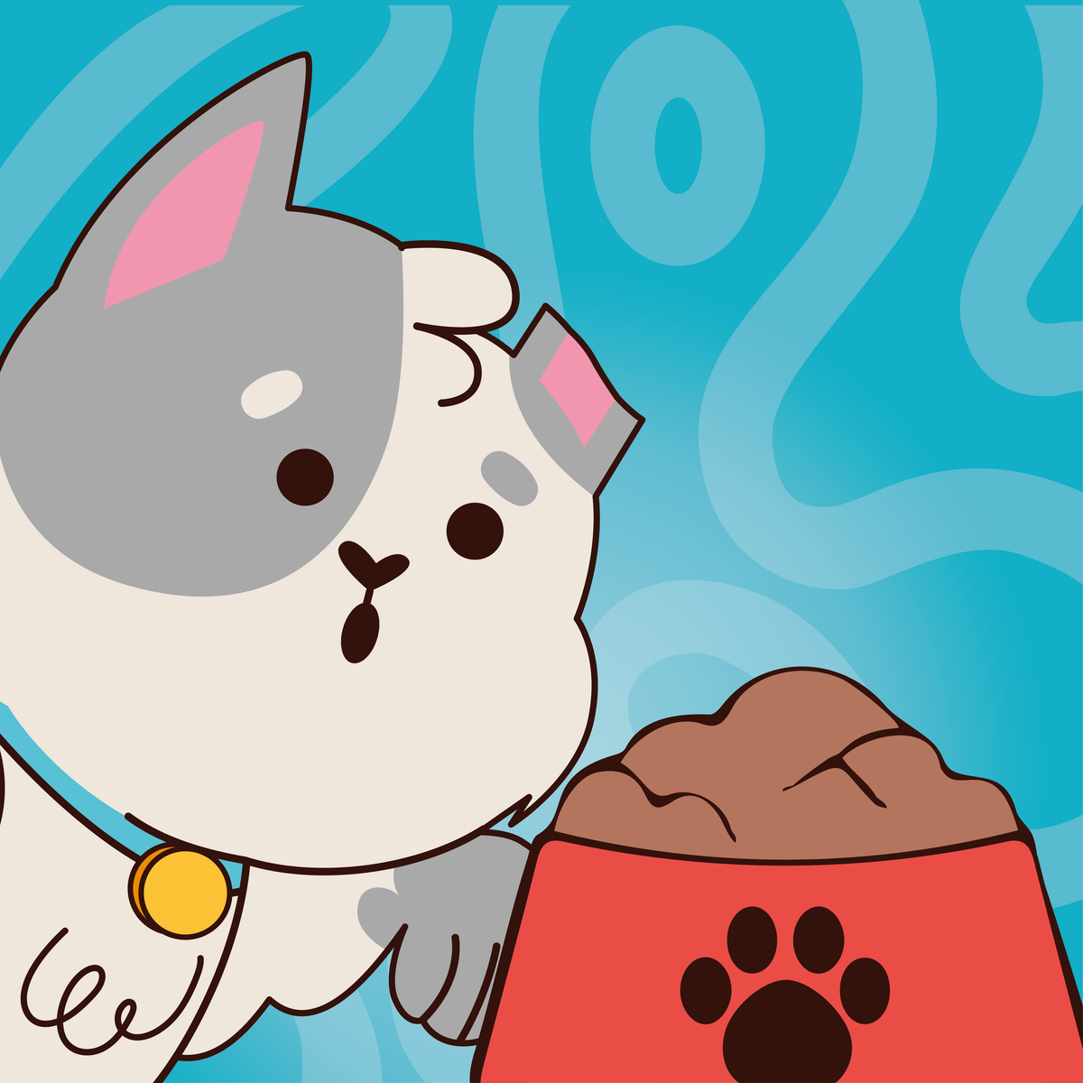 Alimento Seco para tu Gato