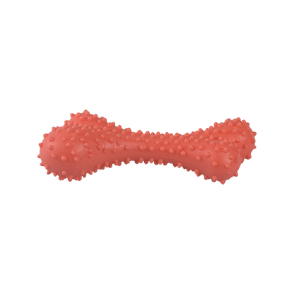 FANCY PETS JUGUETE CAUCHO HUESO DE POLLO CH SPIKY