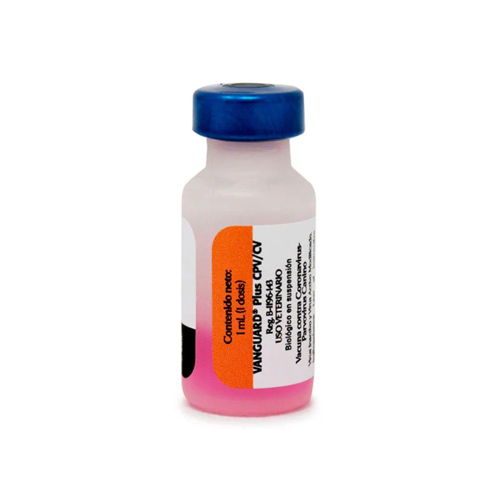 Zoetis Vacuna Vanguard Plus Cpv/Cv (Coronavirus-Parvovirus)