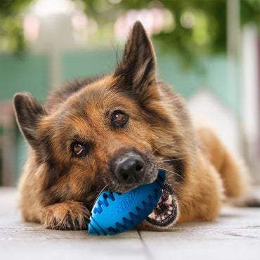 Nerf Dog Teether