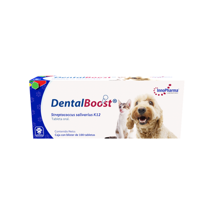 Innopharma Dental Boost 100 Tab