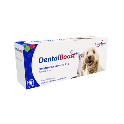 Innopharma Dental Boost 100 Tab