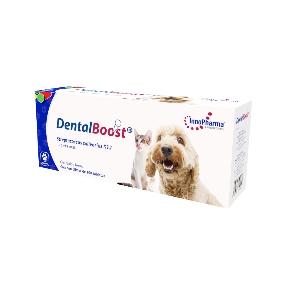 Innopharma Dental Boost 100 Tab