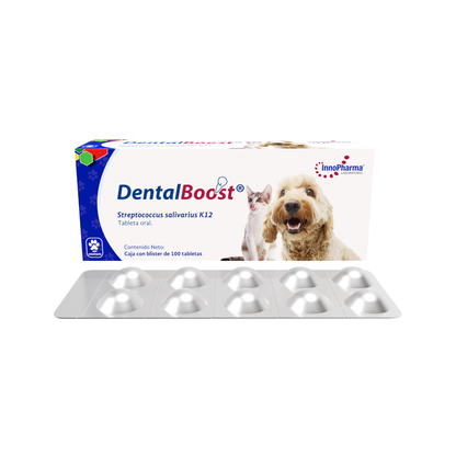 Innopharma Dental Boost 100 Tab