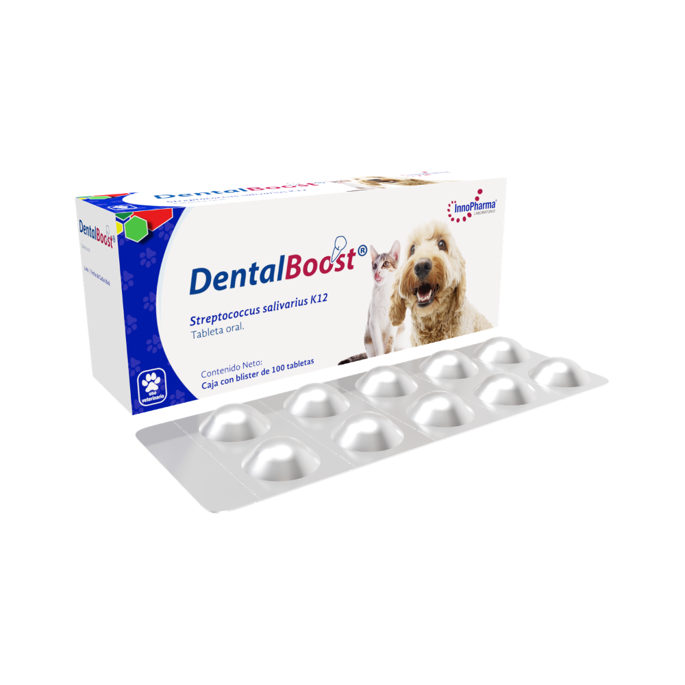 Innopharma Dental Boost 100 Tab