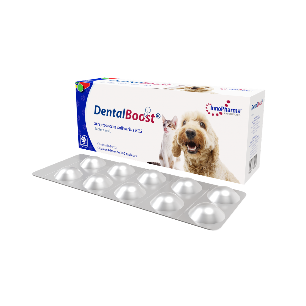 Innopharma Dental Boost 100 Tab