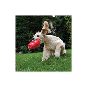 KONG BOUNZER MEDIUM