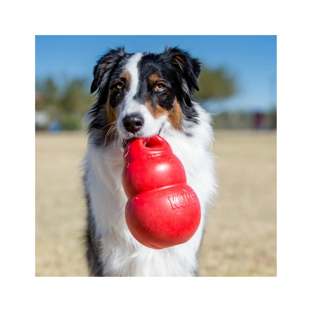 Kong Bounzer Large