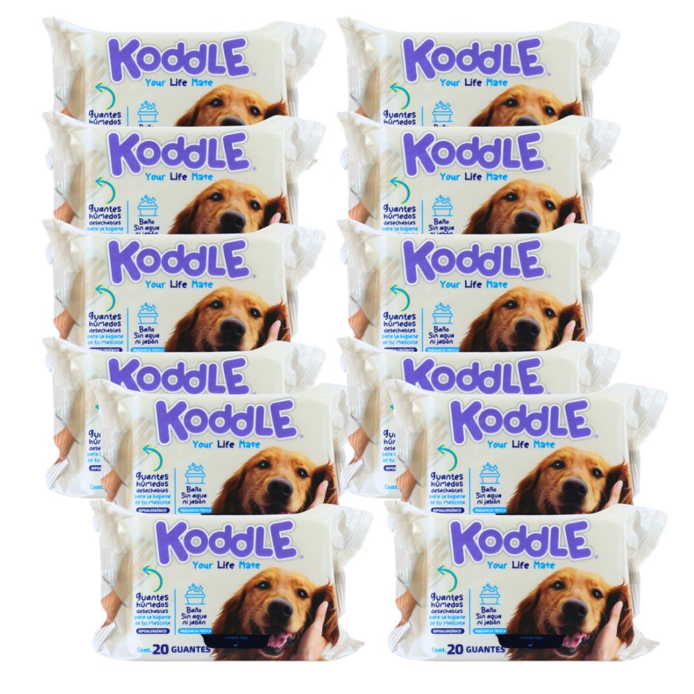 Koddle Guante Húmedo 12 Pack Con 20 Guantes Cada Uno