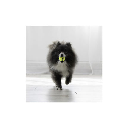 Kong Pelota Squeakair Mediana 3 Pz