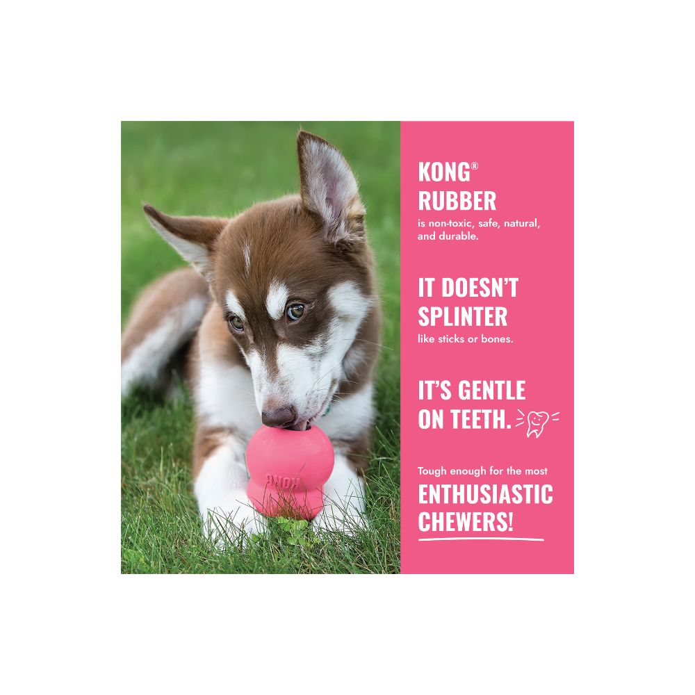 KONG CLASIC JUGUETE CACHORRO CHICO AZUL/ROSA