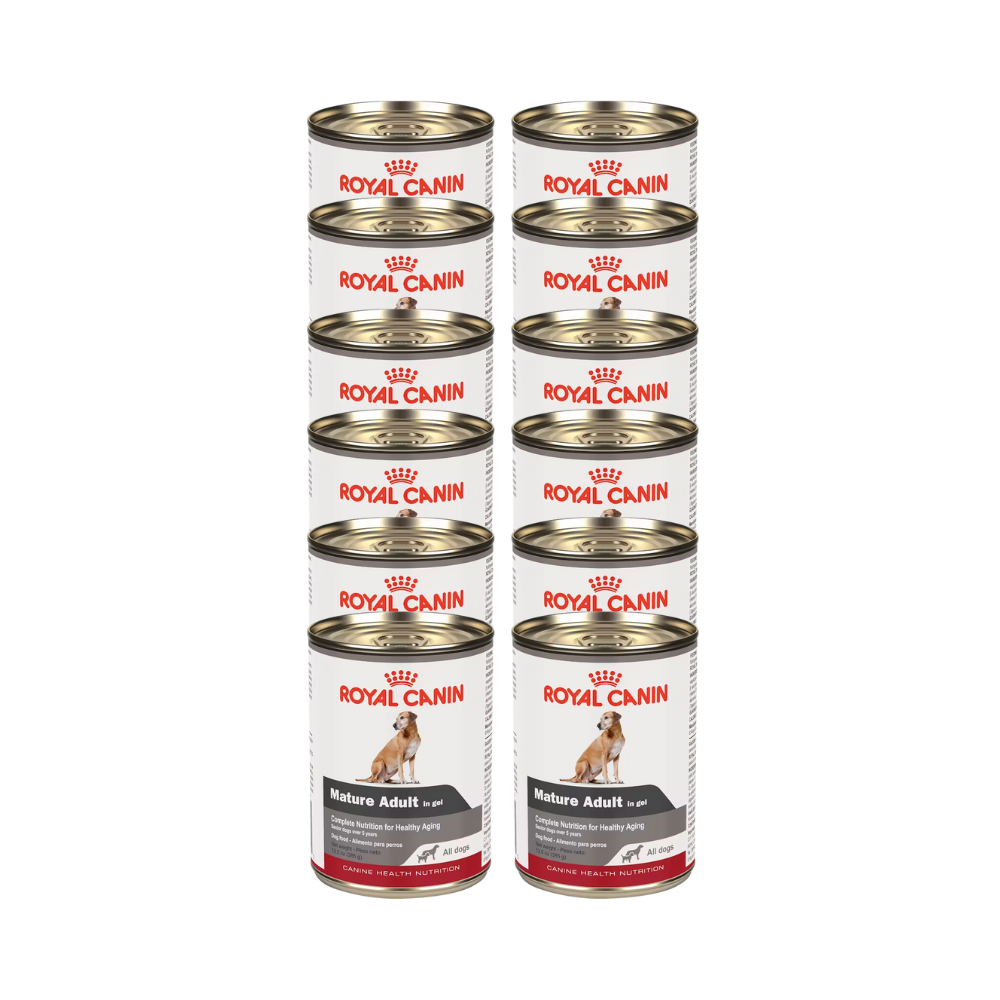 Royal Canin Mature Adult Lata 385 G 12 Pz