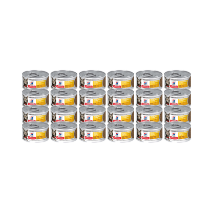 Hills Lata Urinar  / Hairball 2.9 Oz 24 Pz