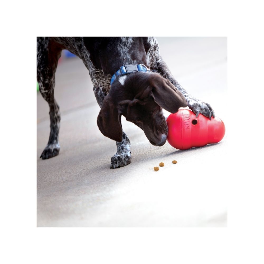 Kong Dispensador De Golosinas Para Grande