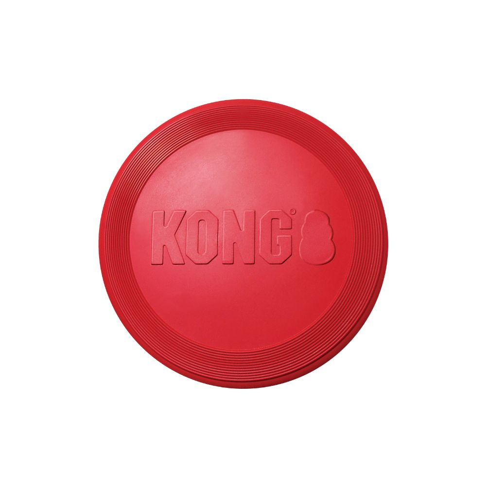 Kong Flyer Small