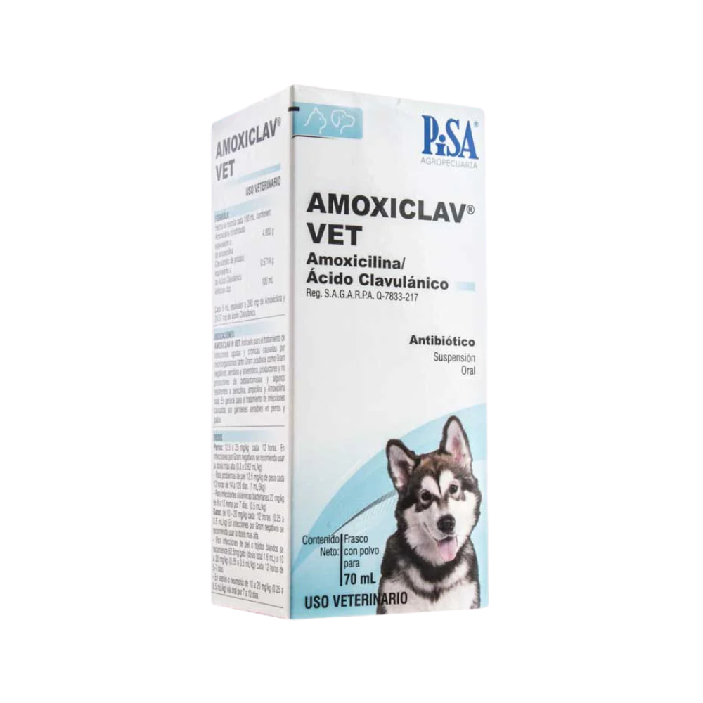 Pisa Amoxiclav Vet Polvo 70 Ml