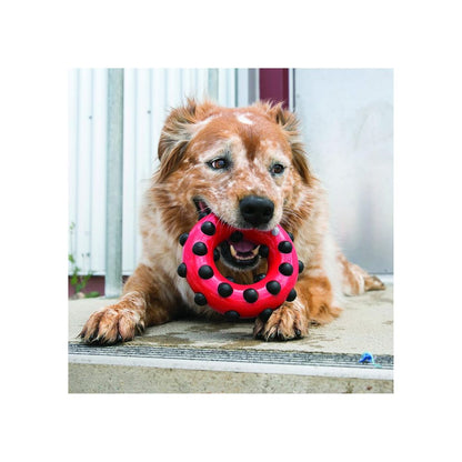 Kong Dotz Circle Small