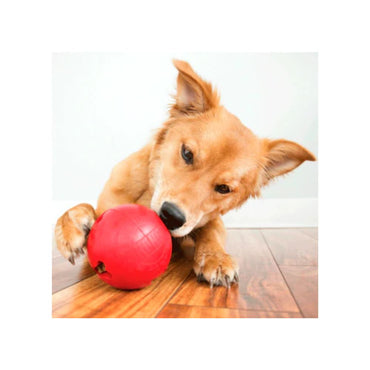 KONG BISCUIT BALL RELLENABLE PELOTA CHICA