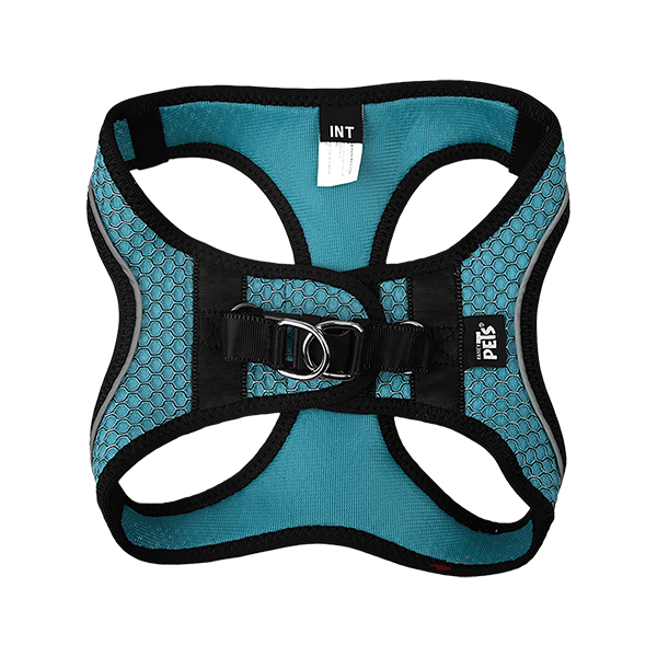 FANCY PETS SET ARNES Y CORREA SPORTIE INT AZUL
