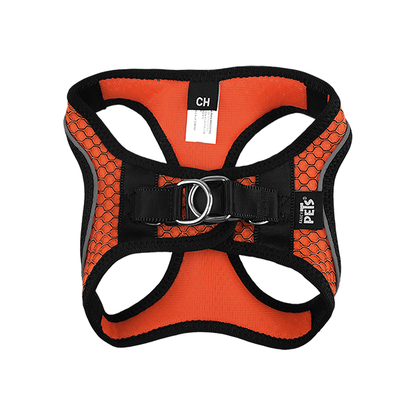 Fancy Pets Arnes Y Correa Sportie Ch Naranja