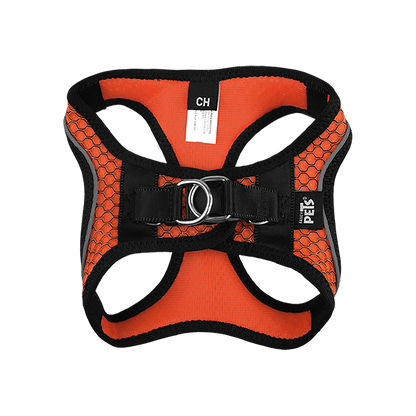 Fancy Pets Arnes Y Correa Sportie Ch Naranja