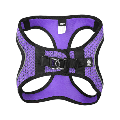 FANCY PETS SET ARNES Y CORREA SPORTIE INT VIOLETA