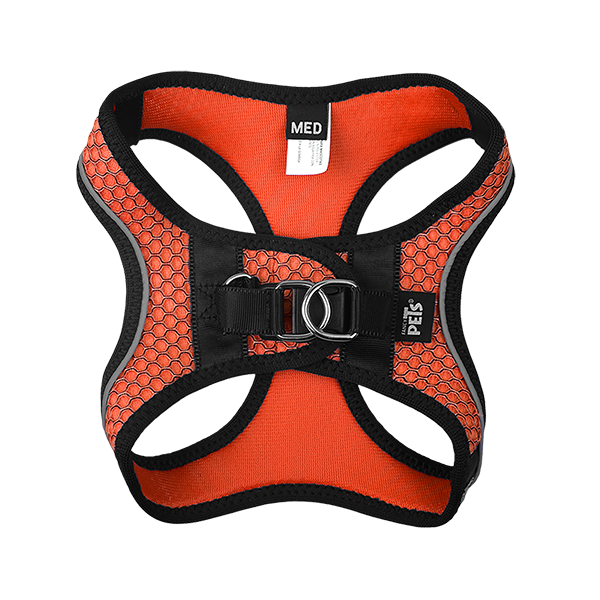Fancy Pets Arnes Y Correa Sportie Med Naranja