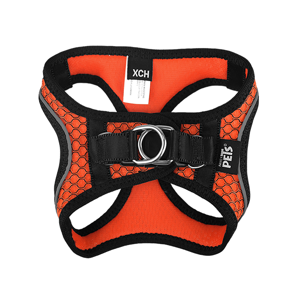Fancy Pets Arnes Y Correa Sportie Xch Naranja