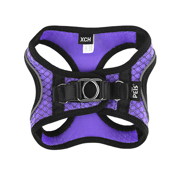 Fancy Pets Arnes Y Correa Sportie Xch Violeta