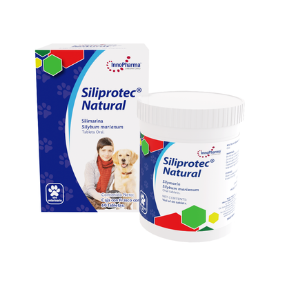 Innopharma Siliprotec Natural 60 Tab