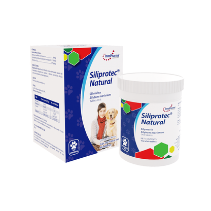 Innopharma Siliprotec Natural 60 Tab