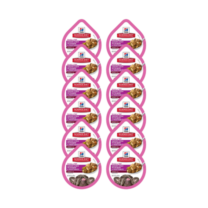 Hills Adult 1-6 Small Paws Beef & Vegetables 3.5Oz 12 Pz