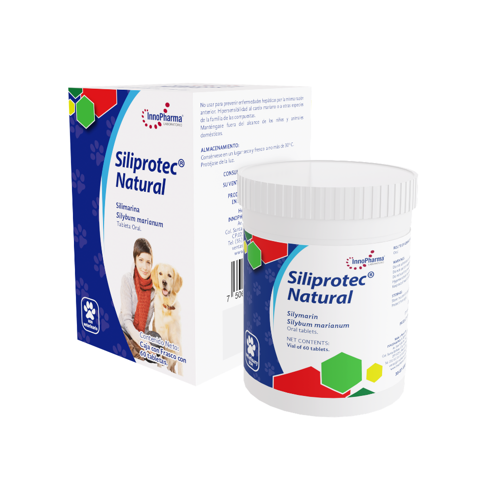 Innopharma Siliprotec Natural 60 Tab