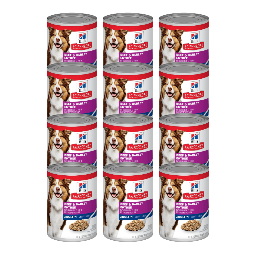 Hills Adulto 7+ Barley Lata 370 G 12 Pz