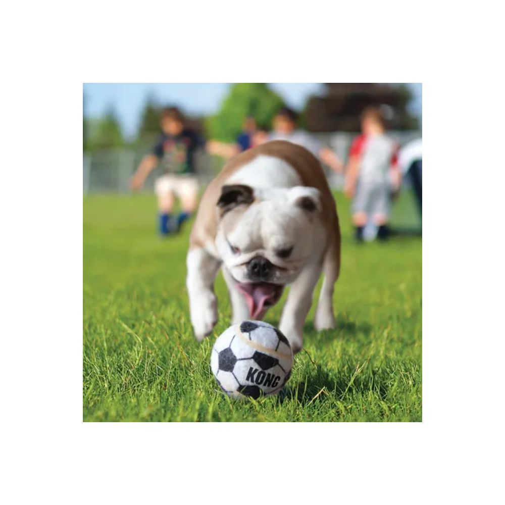 Kong Sport Balls Xs 3Pz